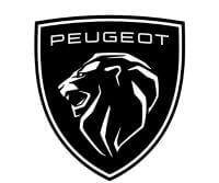 Chaines à neige pour Peugeot